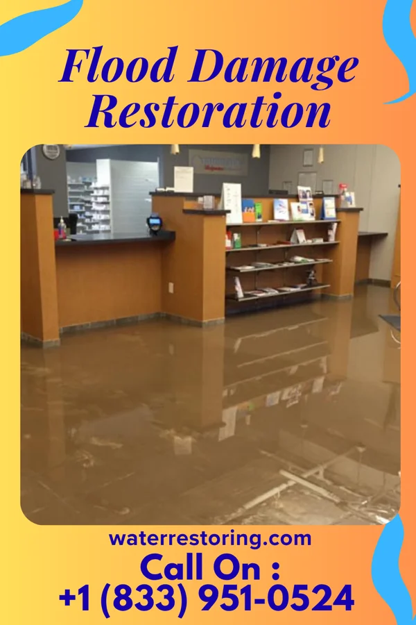 Flood Damage Restoration in Oak Ridge, FL
