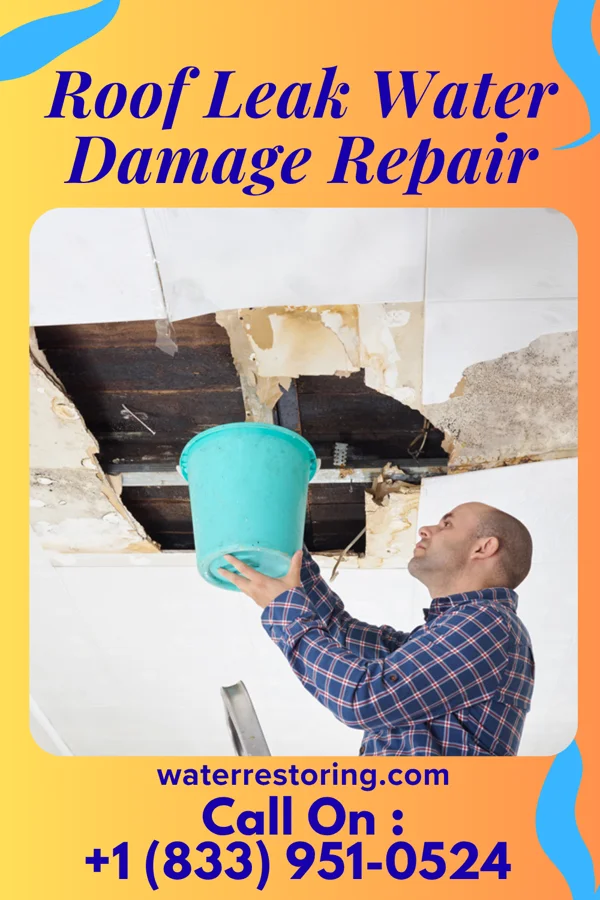 Roof Leak Water Damage Repair in Oak Ridge, FL