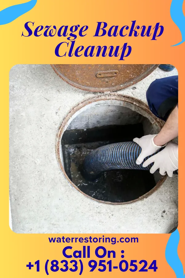 Sewage Backup Cleanup in Oak Ridge, FL